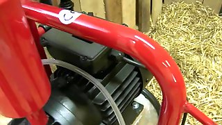 Intentando sacarle la lechota